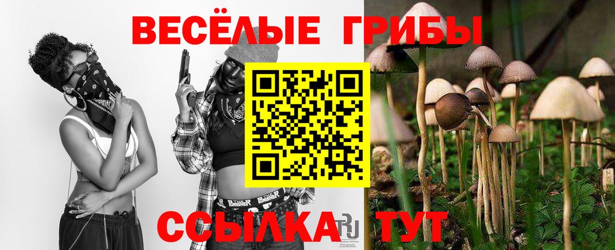Псилоцибиновые грибы мухоморы Мурино